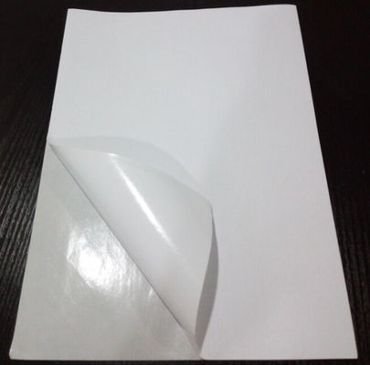 Beyaz 8.5 X 11cm Woodfree Boş Etiket Sayfaları, Düz Etiket Sayfaları